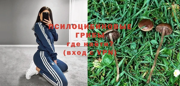 дживик Наволоки