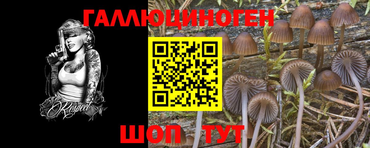 Славянск-на-Кубани  Псилоцибиновые грибы мухоморы  где можно купить   Вход с VPN 